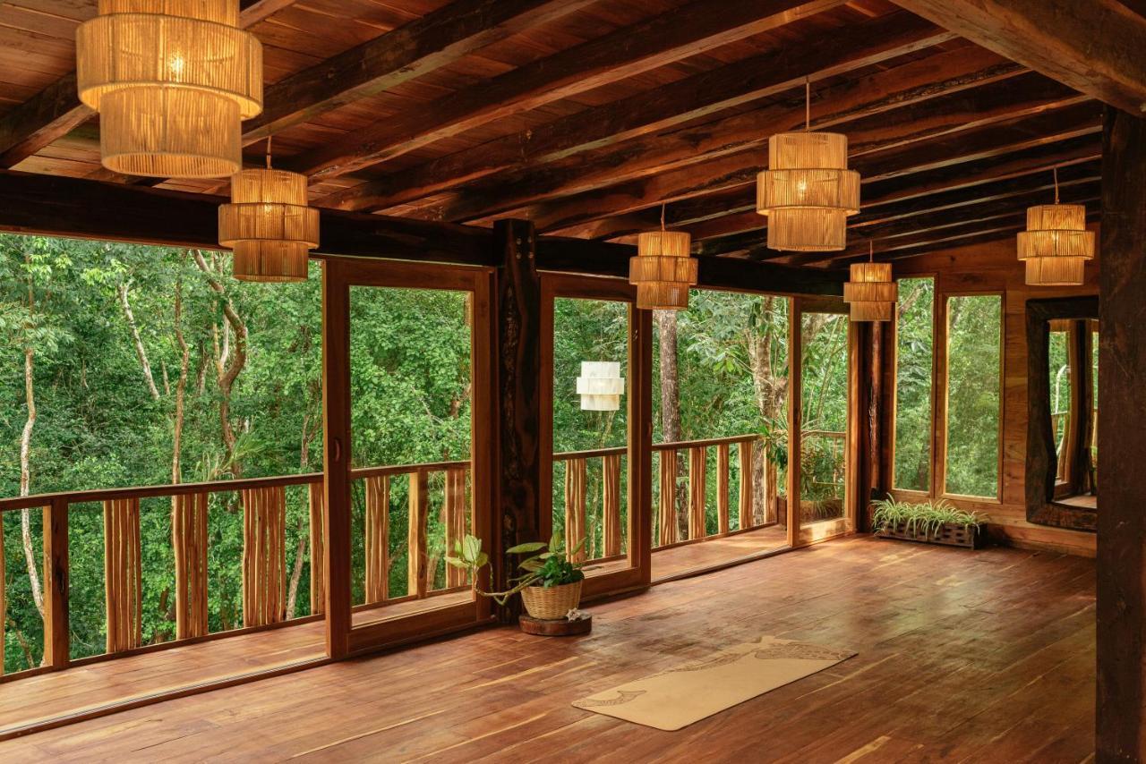 Anand Ecoaldea Puerto Morelos