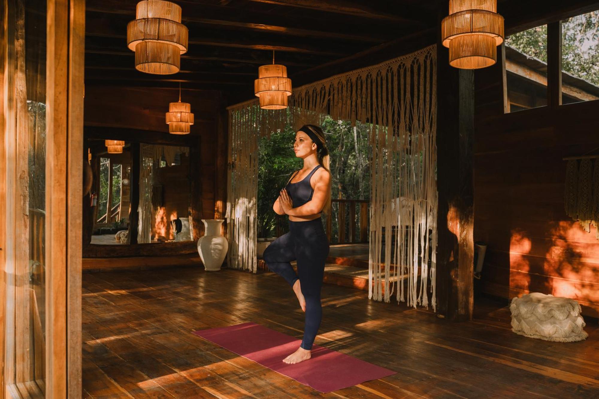 Anand Ecoaldea Lodge *